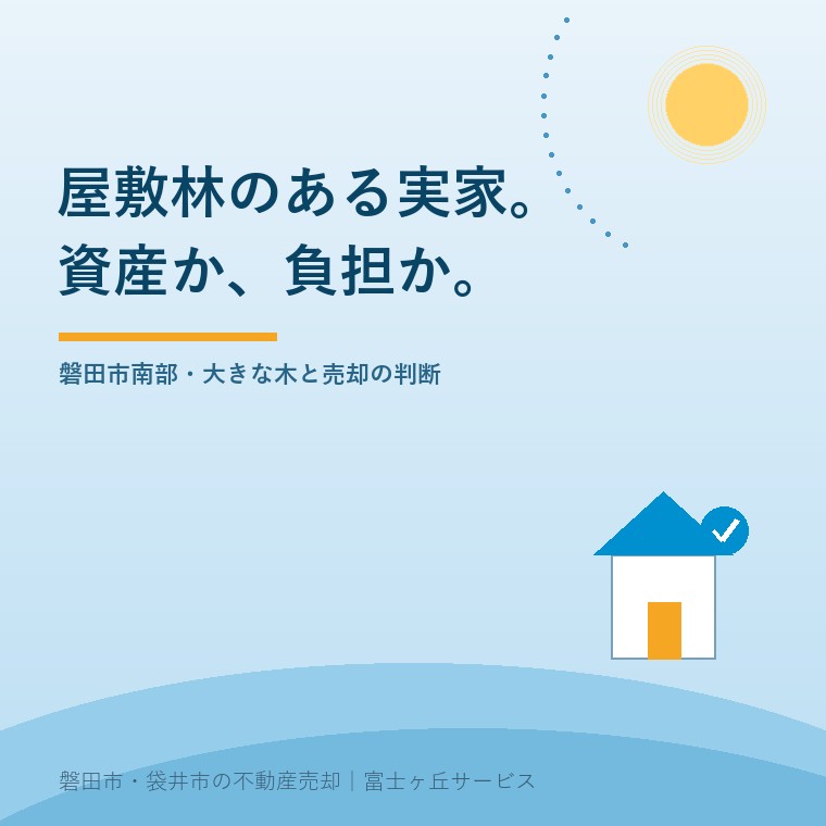 屋敷林のある実家は資産か負担か。磐田市南部の農家に残る大きな木と、売却の判断